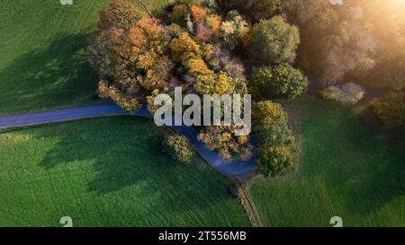 Kurvige Straße durch die Wälder in Herbstfarben in Deutschland im Herbst Stockfoto