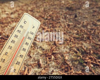 Holzthermometer mit roter Messflüssigkeit, das hohe Temperaturen über 36 Grad Celsius an sonnigem Tag auf trockenem Rasen anzeigt. Wärmekonzept Stockfoto