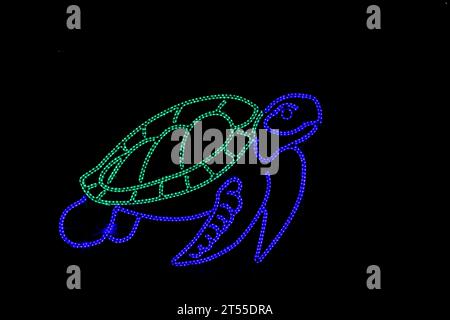 Beleuchtete Neonlampe in Form einer Schildkröte, LED-Lampe auf schwarzem Hintergrund, Dekoration des Palmenhauses von Wałbrzych Stockfoto