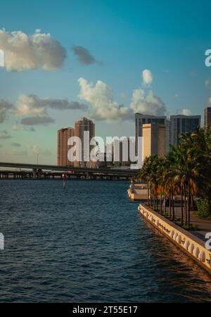 Blick auf die Skyline von miami, Florida am Morgen Stockfoto