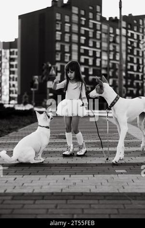 Mädchen mit weißen Hunden auf einem Spaziergang in der Stadt. Stockfoto