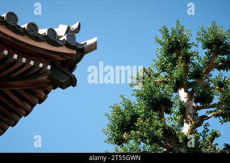 Detail eines Tempels in Nagoya, Japan Stockfoto