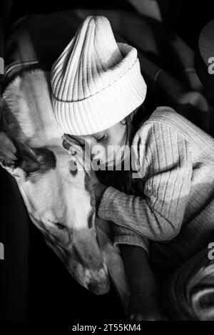 Freundschaft zwischen einem Kind und einem Hund, ein Mädchen schläft auf einem Hund. Stockfoto