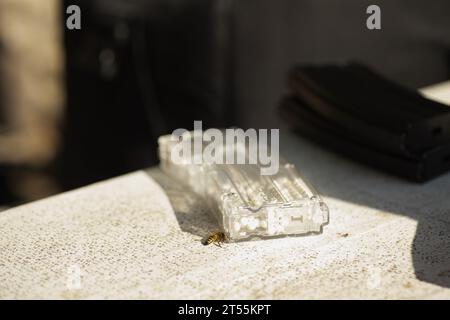 Eine Wespe kreist auf dem Tisch neben einem durchsichtigen Airsoft, Magazin mit weißen Kugeln Stockfoto