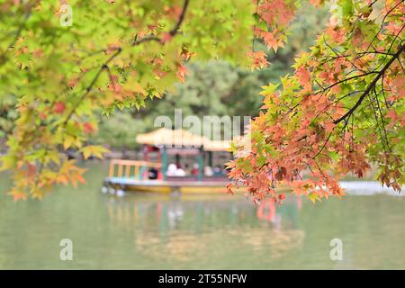 Peking, China. November 2023. Touristen genießen die Schönheit der roten Blätter mit dem Boot im Sommerpalast in Peking, der Hauptstadt Chinas, am 3. November 2023. Quelle: Yin Dongxun/Xinhua/Alamy Live News Stockfoto