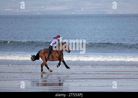 Reiten am Strand im John Muir Country Park East Lothian Scotland Stockfoto