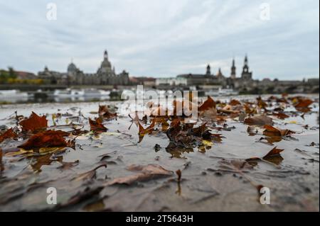 03. November 2023, Sachsen, Dresden: Laub liegt an der Königsufer gegenüber der Altstadt an der Elbe mit der Kuppel der Kunstakedmie mit dem Engel 'Fama' (l-r), der Frauenkirche, dem Ständehaus, dem Georgentor, dem Hausmannsturm und der Hofkirche in einer Pfütze. Wind und Regen dominieren das Wetter in Deutschland am Wochenende. Vereinzelte Gewitter an der Nordsee sind nicht auszuschließen, wie der Deutsche Wetterdienst am Freitag in Offenbach berichtete. Auch der Einfluss des Niederdrucks wird in der kommenden Woche nicht nachlassen: Er wird teilweise mild, nass und stürmisch bleiben. Foto: Robert Michael/dpa Stockfoto