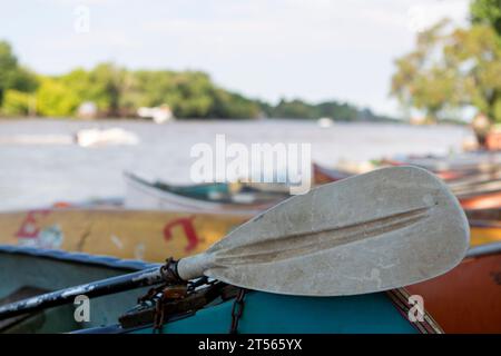 Ruderpaddel und unscharfe Kanus im Hintergrund Stockfoto