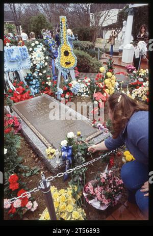 Eine Frau legt Blumen auf Elvis' Grabstein an seinem ersten Geburtstag nach seinem Tod. In Graceland, Elvis' Villa in Memphis, am 8. Januar 1978 an einem nieseligen Tag. Stockfoto