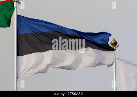 Sankt Petersburg, Russland. November 2023. Die Nationalflagge der Republik Estland als teilnehmendes Land am 12 Petersburg International Gas Forum (SPIGF 2023). (Foto: Maksim Konstantinov/SOPA Images/SIPA USA) Credit: SIPA USA/Alamy Live News Stockfoto