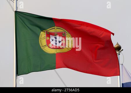 Sankt Petersburg, Russland. November 2023. Die Nationalflagge der Portugiesischen Republik als teilnehmendes Land an der 12. St. Petersburg International Gas Forum (SPIGF 2023). (Foto: Maksim Konstantinov/SOPA Images/SIPA USA) Credit: SIPA USA/Alamy Live News Stockfoto