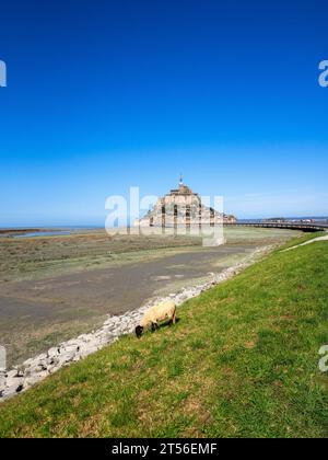 Aus der Vogelperspektive, Frankreich, Normandie, Salzwiesen, Kloster und Abtei Mont-Saint-Michel, Le Mont-Saint-Michel Stockfoto