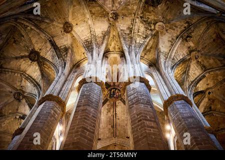 Das Innere der Basilika Santa Maria del Mar oder der Kirche Santa Maria in El Born, Barcelona. Spanien. Stockfoto