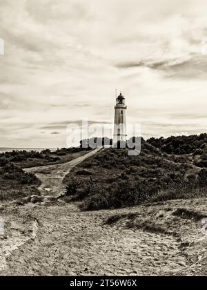 Einfarbiges Bild des Leuchtturms Dornbusch auf der Insel Hiddensee, Deutschland, Sepia getönt Stockfoto