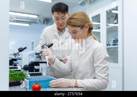 Ernsthafte konzentrierte Frau erforscht Lebensmittel und Gemüse am Arbeitsplatz im Labor, Team von Wissenschaftlern 2 Personen führen Denkexperimente durch. Stockfoto