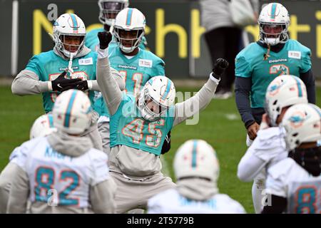 3. November 2023, Hessen, Frankfurt/Main: Duke Riley von den Miami Delfinen im Training. Im zweiten NFL-Spiel in Deutschland stehen die Super-Bowl-Gewinner Kansas City und die Miami Dolphins am Sonntag (05.11.2023) in Frankfurt an. Foto: Federico Gambarini/dpa Stockfoto