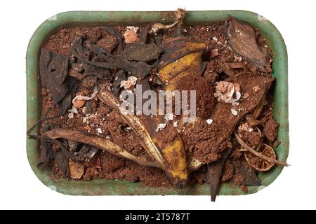 Sie sammeln Altteepulver, Bananenschalen, Eierschalen und übrig gebliebene Bio-Lebensmittel, die zur natürlichen Herstellung weggeworfen werden Stockfoto