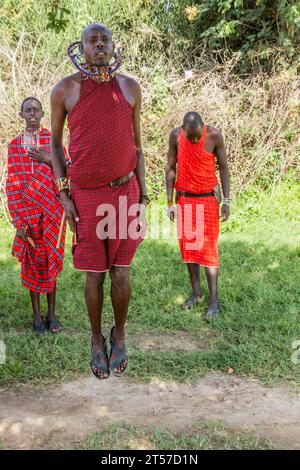 MASAI MARA, KENIA - 20. FEBRUAR 2020: Masai People führen ihren Jumping Dance in Kenia auf Stockfoto