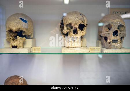 Das Museum für Archäologie und Paläontologie in Minerve, Frankreich Stockfoto