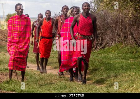 MASAI MARA, KENIA - 20. FEBRUAR 2020: Masai People führen ihren Jumping Dance in Kenia auf Stockfoto