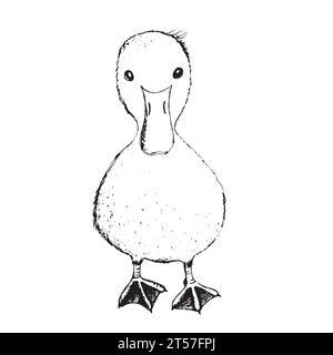 Malbuch Happy Birds für Kinder. Lustige Vögel, Blumen, Blätter und Beeren. Flache Vektordarstellung mit Cartoon-Vogelsilhouette. Süße Figuren Stock Vektor