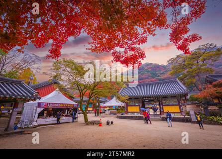 Farbenfroher Herbst mit wunderschönem Ahornblatt am Baekyangsa-Tempel im Naejangsan-Nationalpark, Südkorea. Stockfoto