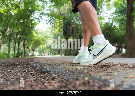 Bangkok, Thailand - 15. Oktober 2023: Nahaufnahme der Nike pegasus 39 Ruuning Schuhe Stockfoto