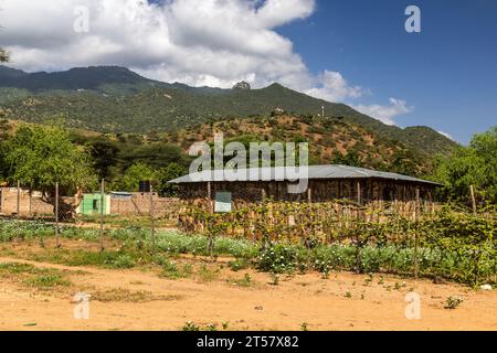 Haus im Dorf South Horr, Kenia Stockfoto