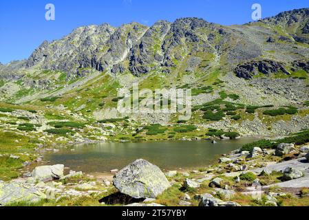 Landschaft in den Westkarpaten, Pleso nad Skokom im Mlynicka-Tal, Tatra-Berge, Slowakei Stockfoto