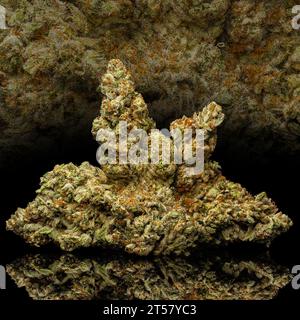 Jealousy Strain - Trockene Cannabis Pflanze Nugs Auf Schwarzem Hintergrund Stockfoto