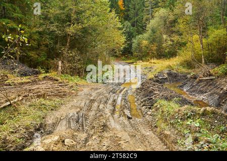 Feldweg durch den Wald mit großen schlammigen Pfützen nach Regen Stockfoto