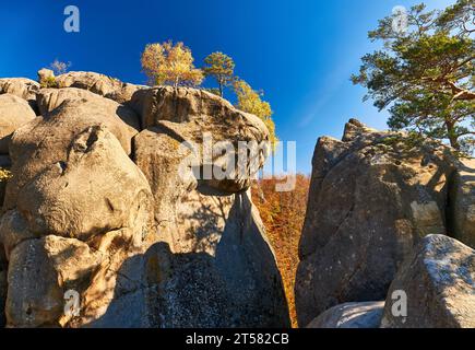 Die Felsen von Dowbusch, eine Gruppe von Felsen, natürliche und von Menschen geschaffte Höhlen, die im Wald in Stein gemeißelt wurden und nach dem Anführer der opryschky Bewegung Oleksa Dovb benannt wurden Stockfoto