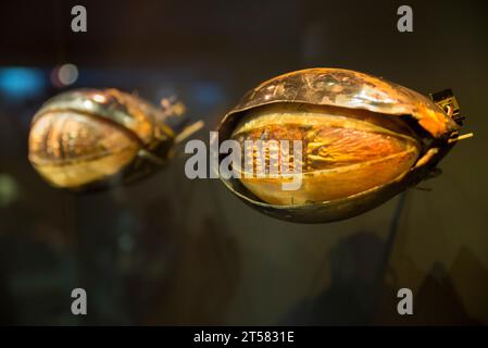 Original Jabba the Hutt's Eyes from Star Wars - Return of the Jedi Stockfoto