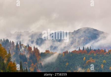 Tauchen Sie ein in die ätherische Schönheit der nebelumhüllten Berggipfel, die mit dichten Kiefernwäldern geschmückt sind. Das mystische Zusammenspiel von Nebel und aufragendem pi Stockfoto