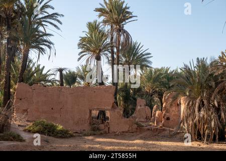 Ruinen von Tonhäusern in Tighmert, Maroc Stockfoto