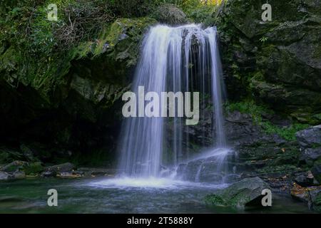 Unscharfes Bild der Grotto Falls im Great Smoky Mountain National Park in Tennessee Stockfoto
