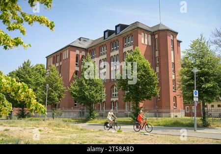 Medizinhistorisches Museum der Charite, Chariteplatz, Mitte, Berlin, Deutschland *** Lokalunterschrift ***, Berlin, Deutschland *** Medizinhistorisches Museum der Charite, Chariteplatz, Mitte, Berlin, Deutschland Lokalunterschrift, Berlin, Deutschland Credit: Imago/Alamy Live News Stockfoto