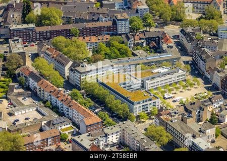 Luftaufnahme, Margarethe-Zingler-Platz, Rewe Supermarkt, apd.de (APD Ambulante Pflegedienste, Altstadt, Gelsenkirchen, Ruhrgebiet, Nordrhein-Westfal Stockfoto