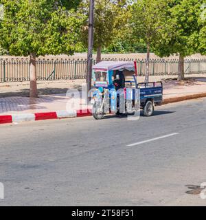 Roadtrip von Marrakesch nach Essaouira Marokko Stockfoto