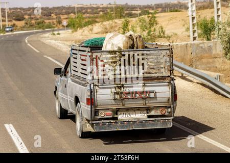 Roadtrip von Marrakesch nach Essaouira Marokko Stockfoto