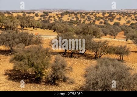 Roadtrip von Marrakesch nach Essaouira Marokko Stockfoto