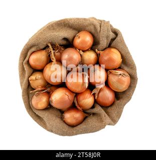 Zwiebeln in einem Sackleinen auf weißem Hintergrund. Blick von oben. Gepackte Zwiebeln Stockfoto