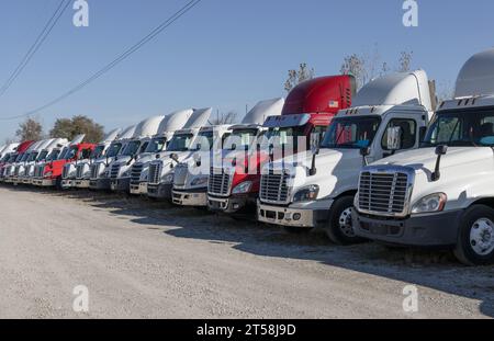 Indianapolis - 2. November 2023: Verkauf von gebrauchten Freightliner- und International Trucks. Gebrauchte Sattelzugmaschinen sind sehr gefragt. Stockfoto