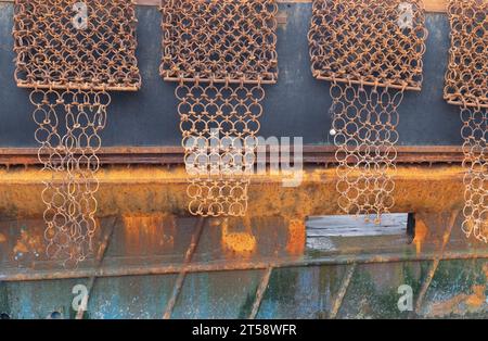 Nahansicht der Jakobsmuscheln an der Seite eines Jakobsmuschelfischers, das am Hafen von Kirkcudbright in Schottland liegt. Stockfoto