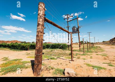 Stromkabel verlaufen entlang eines Weinbergs in Südafrika Stockfoto
