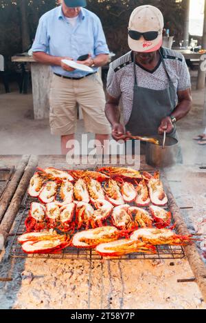 Ein Koch bereitet frisch gefangene Hummer-Hälften für ein Barbecue oder ein Braai in einem Restaurant im Freien in der Nähe der Lamberts Bay in Südafrika zu Stockfoto
