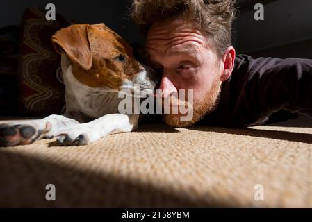 Ein Mann entspannt sich und hat Spaß mit seinem Jack Russell Hund im Sonnenlicht in einem Haus in Port Elizabeth in Südafrika Stockfoto