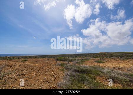 Atemberaubender Blick auf die felsige Wüste vor dem Hintergrund des karibischen Meeres und den klaren blauen Himmel mit weißen Wolken und Windturbinen, die in der Ferne sichtbar sind. Aruba Stockfoto