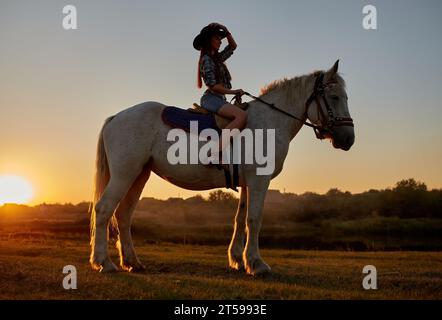 Silhouette von Cowboy, reiten Sie auf einem arabischen Pferdehengst bei farbenfrohen Sonnenuntergang. Romantisches Konzept für Safari-Hintergrund Stockfoto