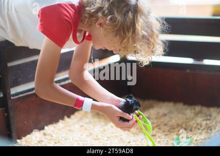 Kinder füttern Tiere im Streichelzoo. Tagesausflug mit der Familie zum Safaripark. Kind beobachtet Tiere auf der Landfarm. Freundschaft und Liebe. Tierpflege. Stockfoto